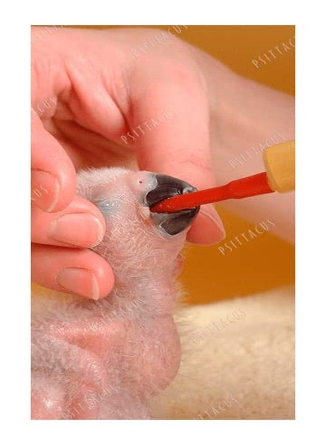 Psittacus Bird Hand Feeding Soft Tube 20 ml | Bird Hand Feeding Syringe with Needle - Image 5